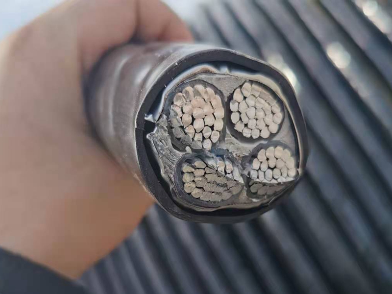 鎧裝電纜價格比普通電纜的貴憑什么？